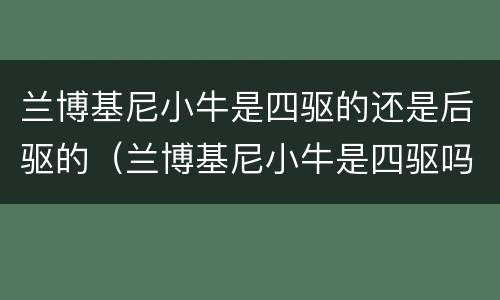 兰博基尼小牛是四驱的还是后驱的（兰博基尼小牛是四驱吗）