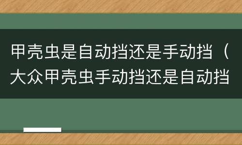 甲壳虫是自动挡还是手动挡（大众甲壳虫手动挡还是自动挡）