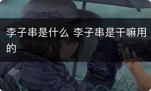 李子串是什么 李子串是干嘛用的