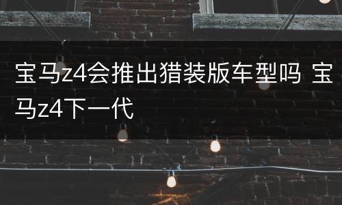 宝马z4会推出猎装版车型吗 宝马z4下一代
