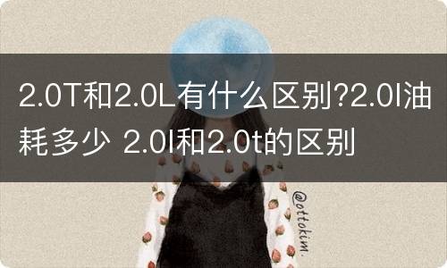 2.0T和2.0L有什么区别?2.0l油耗多少 2.0l和2.0t的区别