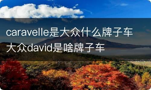 caravelle是大众什么牌子车 大众david是啥牌子车