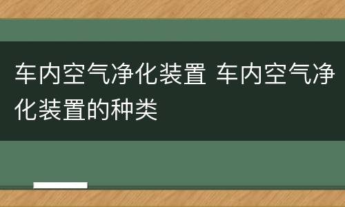 车内空气净化装置 车内空气净化装置的种类