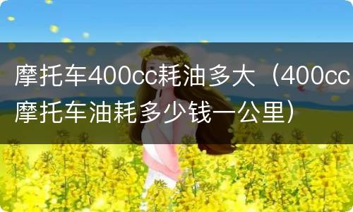 摩托车400cc耗油多大（400cc摩托车油耗多少钱一公里）