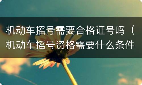 机动车摇号需要合格证号吗（机动车摇号资格需要什么条件）