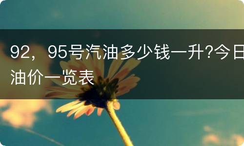 92，95号汽油多少钱一升?今日油价一览表