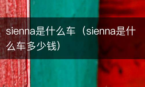 sienna是什么车（sienna是什么车多少钱）