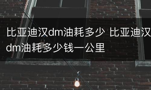 比亚迪汉dm油耗多少 比亚迪汉dm油耗多少钱一公里