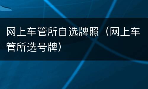 网上车管所自选牌照（网上车管所选号牌）