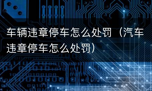 车辆违章停车怎么处罚（汽车违章停车怎么处罚）