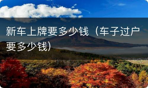 新车上牌要多少钱（车子过户要多少钱）