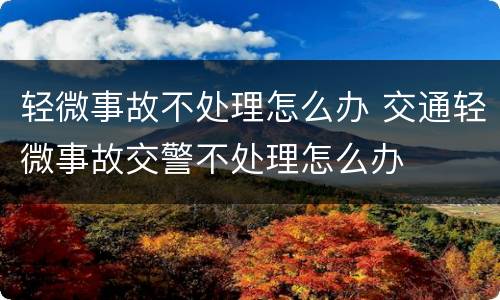 轻微事故不处理怎么办 交通轻微事故交警不处理怎么办