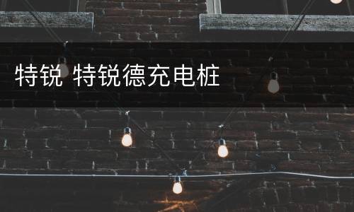 特锐 特锐德充电桩