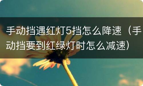 手动挡遇红灯5挡怎么降速（手动挡要到红绿灯时怎么减速）