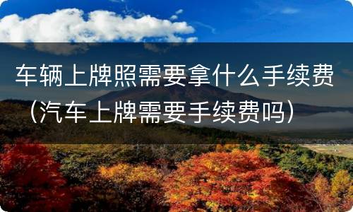 车辆上牌照需要拿什么手续费（汽车上牌需要手续费吗）