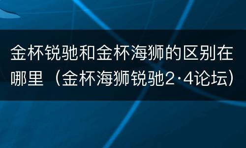 金杯锐驰和金杯海狮的区别在哪里（金杯海狮锐驰2·4论坛）