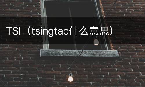 TSI（tsingtao什么意思）