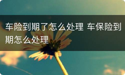 车险到期了怎么处理 车保险到期怎么处理