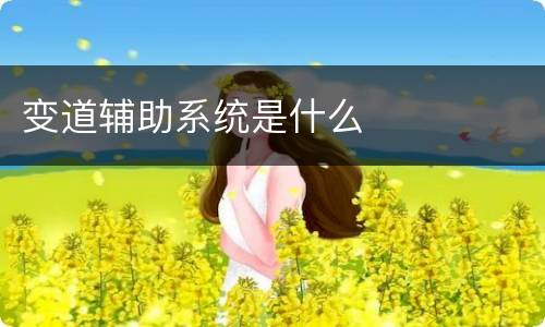 变道辅助系统是什么