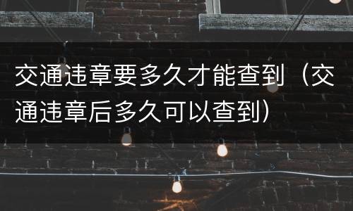 交通违章要多久才能查到（交通违章后多久可以查到）