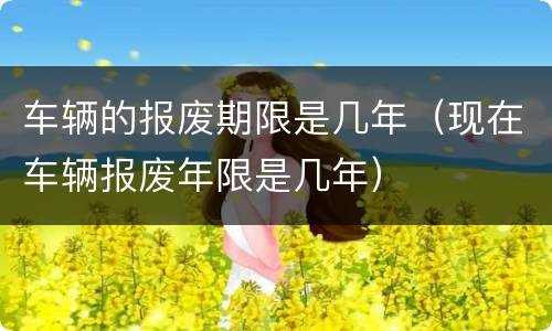 车辆的报废期限是几年（现在车辆报废年限是几年）