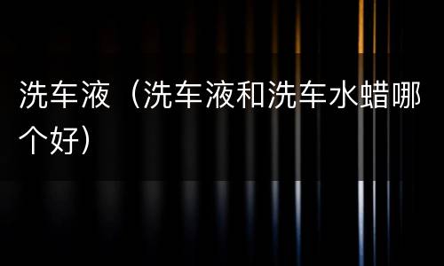 洗车液（洗车液和洗车水蜡哪个好）
