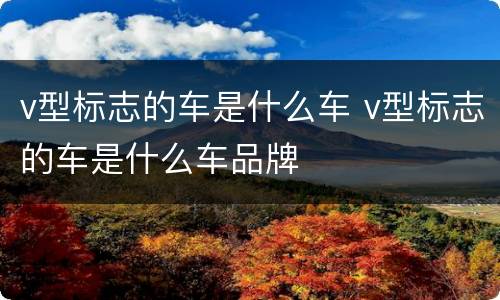 v型标志的车是什么车 v型标志的车是什么车品牌