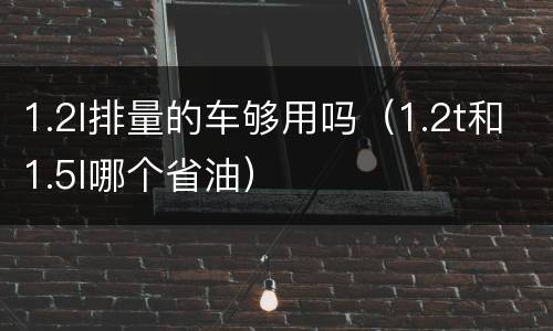 1.2l排量的车够用吗（1.2t和1.5l哪个省油）