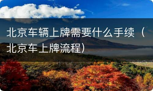 北京车辆上牌需要什么手续（北京车上牌流程）