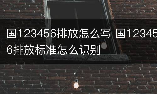 国123456排放怎么写 国123456排放标准怎么识别
