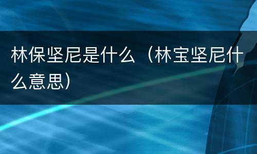 林保坚尼是什么（林宝坚尼什么意思）
