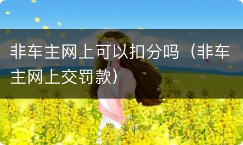 非车主网上可以扣分吗（非车主网上交罚款）