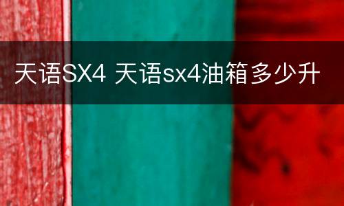 天语SX4 天语sx4油箱多少升