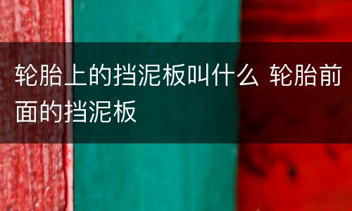 轮胎上的挡泥板叫什么 轮胎前面的挡泥板