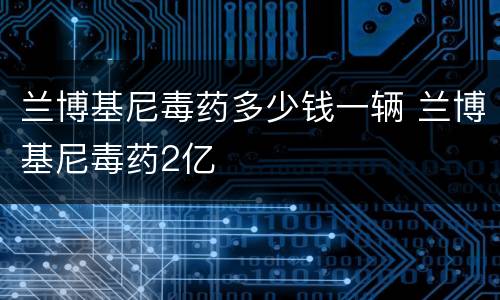 兰博基尼毒药多少钱一辆 兰博基尼毒药2亿