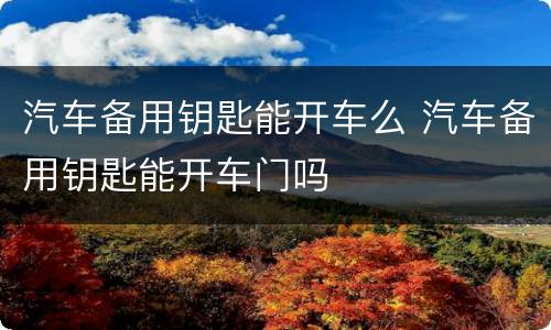 汽车备用钥匙能开车么 汽车备用钥匙能开车门吗