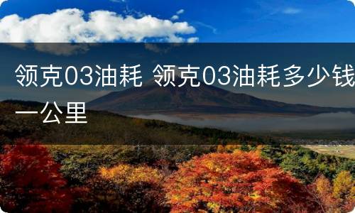 领克03油耗 领克03油耗多少钱一公里