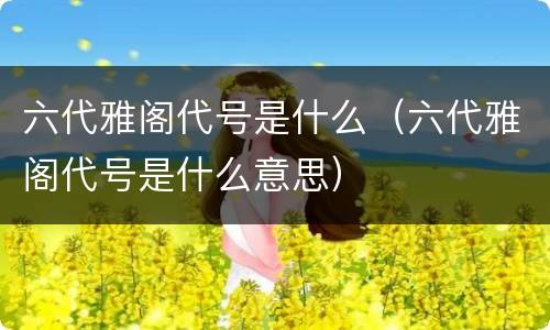 六代雅阁代号是什么（六代雅阁代号是什么意思）