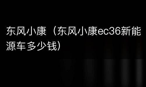 东风小康（东风小康ec36新能源车多少钱）