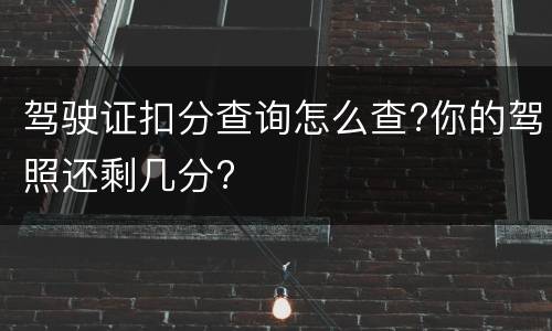 驾驶证扣分查询怎么查?你的驾照还剩几分?