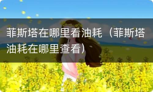 菲斯塔在哪里看油耗（菲斯塔油耗在哪里查看）