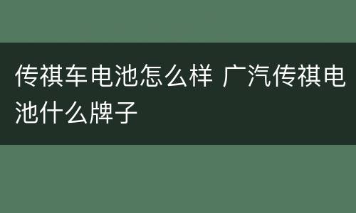 传祺车电池怎么样 广汽传祺电池什么牌子