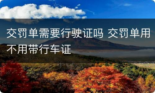 交罚单需要行驶证吗 交罚单用不用带行车证