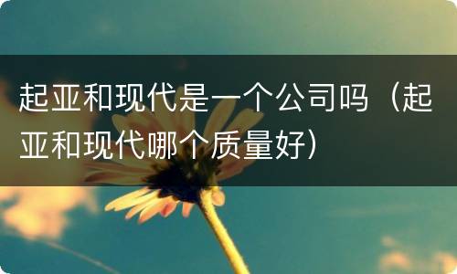 起亚和现代是一个公司吗（起亚和现代哪个质量好）
