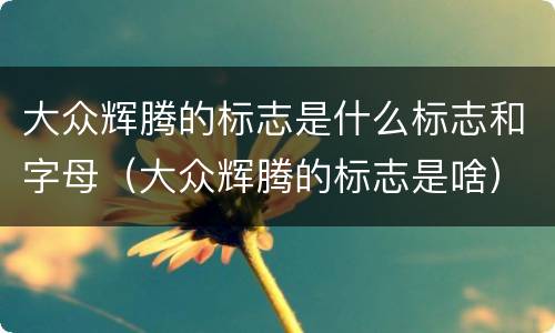 大众辉腾的标志是什么标志和字母（大众辉腾的标志是啥）