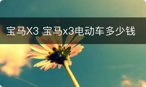 宝马X3 宝马x3电动车多少钱