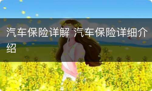 汽车保险详解 汽车保险详细介绍