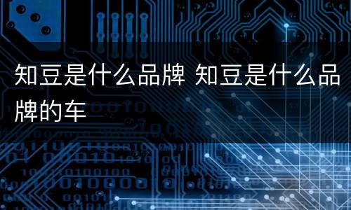 知豆是什么品牌 知豆是什么品牌的车