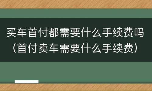 买车首付都需要什么手续费吗（首付卖车需要什么手续费）