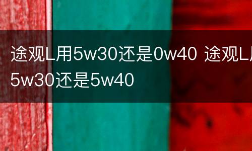 途观L用5w30还是0w40 途观L用5w30还是5w40